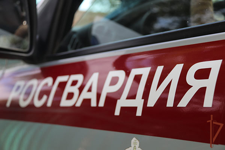 Сотрудники Росгвардии в Чите спасли семью от пожара
