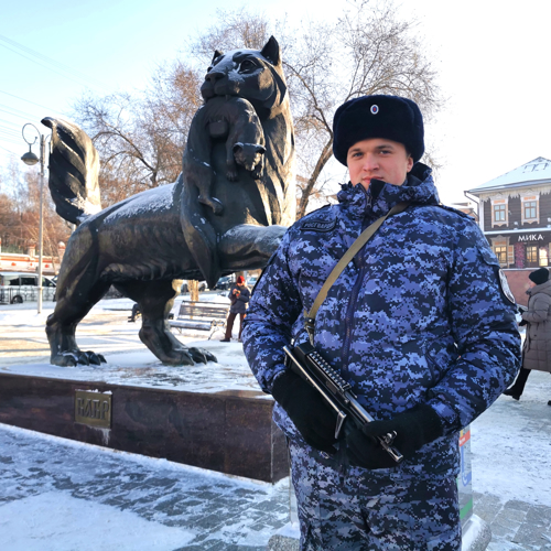 На страже Нового года. Фотоальбом 