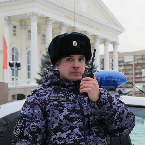 На страже Нового года. Фотоальбом 