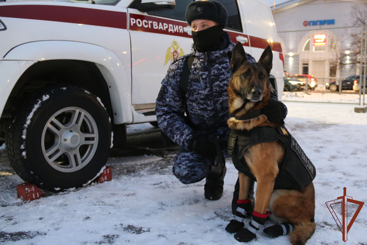 Военнослужащие и сотрудники СЗО Росгвардии обеспечили безопасность матча КХЛ в Санкт-Петербурге