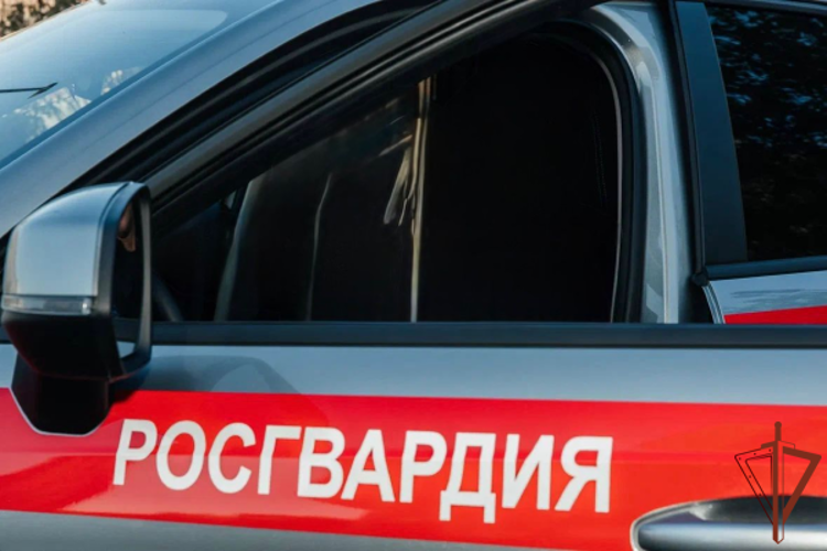 Сотрудники Росгвардии в Москве задержали пьяного водителя 