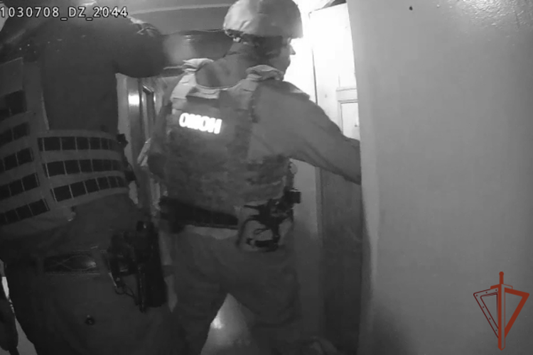 При силовой поддержке ОМОН Росгвардии в Санкт-Петербурге задержан подозреваемый в поджоге (видео)