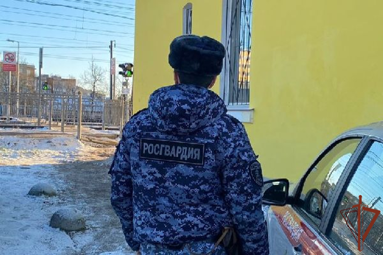 В Ленинградской области росгвардейцы разыскали и вернули родителям пропавшего ребенка
