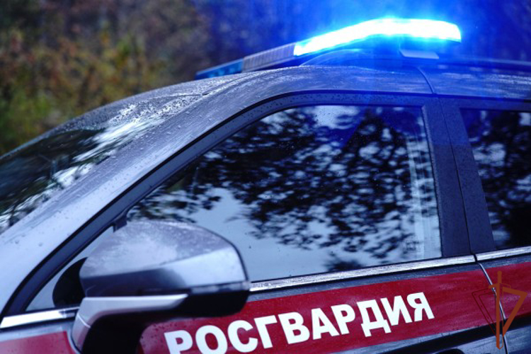 Сотрудники Росгвардии в Москве задержали подозреваемого в нанесении ножевого ранения (видео)