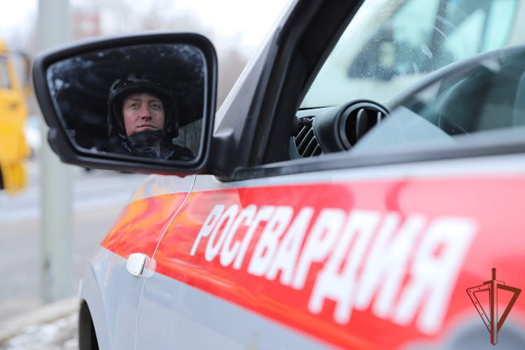 Росгвардейцы помогли поисково-спасательному отряду «ЛизаАлерт» в розыске в Москве пропавшей девушки (видео)
