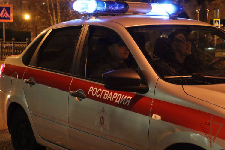 Росгвардейцы предотвратили телефонное мошенничество в отношении жительницы Ставрополья