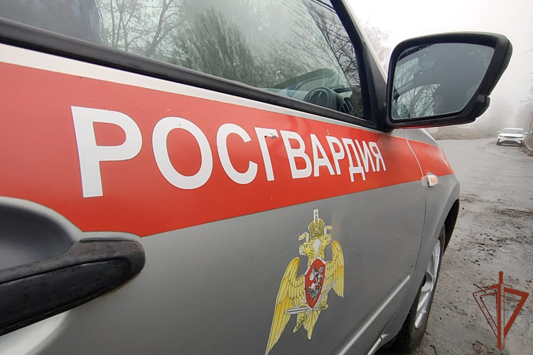 В Курске при силовой поддержке Росгвардии оперативно задержан подросток, который пытался устроить пожар в школе