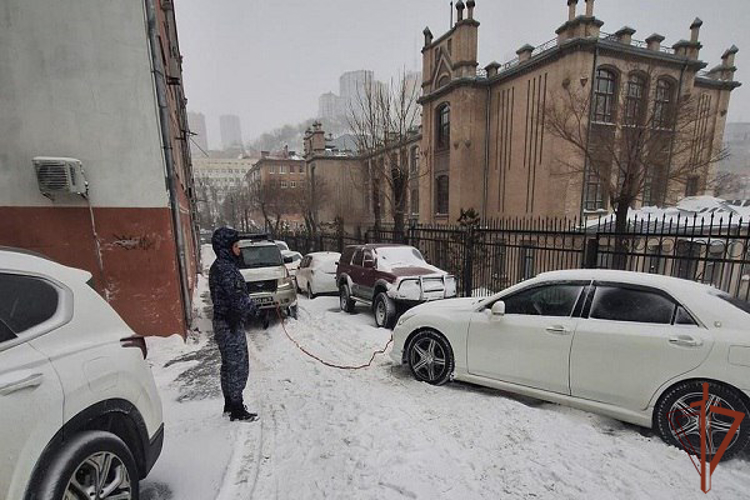 На Дальнем Востоке росгвардейцы помогают автомобилистам во время снегопада (видео)