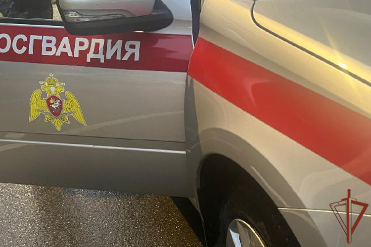 Сотрудники Росгвардии потушили загоревшийся грузовик в Выборгском районе Санкт-Петербурга