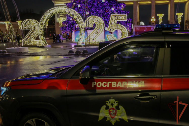 Свыше 3-х тысяч росгвардейцев обеспечивали безопасность в новогоднюю ночь в Москве