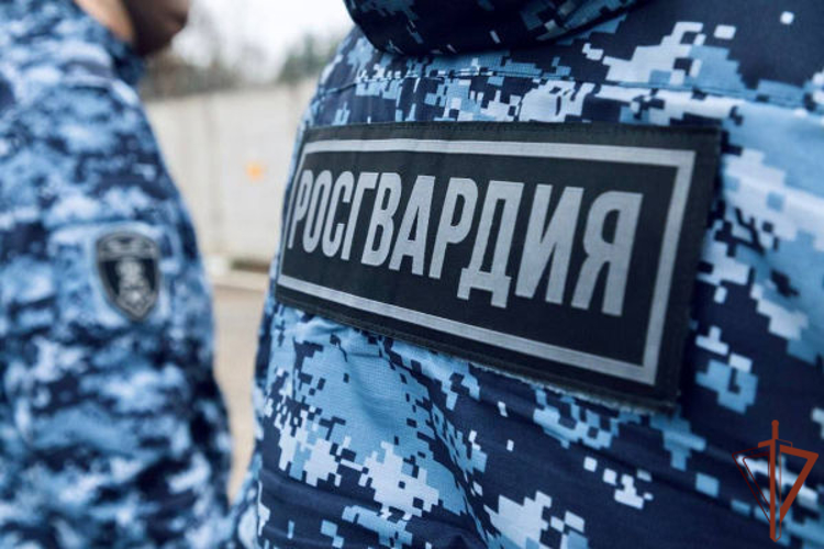 В Химках сотрудники Росгвардии задержали иностранного гражданина, устроившего дебош в гостинице (видео)