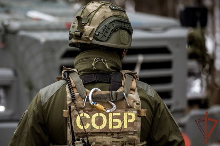 При участии спецназа Росгвардии в Ростовской области задержан подозреваемый в пропаганде экстремизма