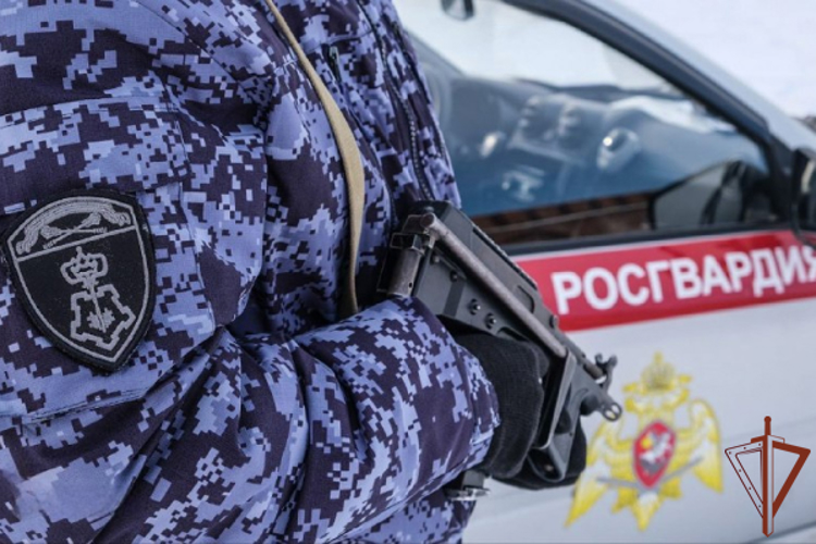 Во Владимирской области сотрудники Росгвардии задержали подозреваемого в убийстве