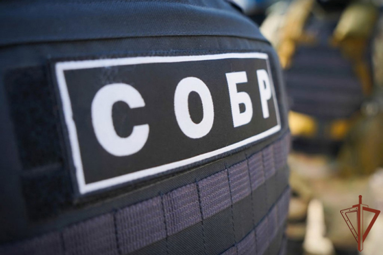 В Калининградской области при содействии спецназа Росгвардии пресечена незаконная деятельность по культивации, производству и сбыту наркотических средств (видео)