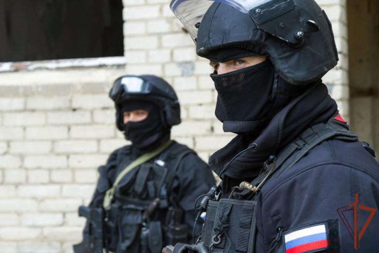 Подозреваемый в кибермошенничестве задержан в Еврейской автономной области при силовой поддержке ОМОН Росгвардии