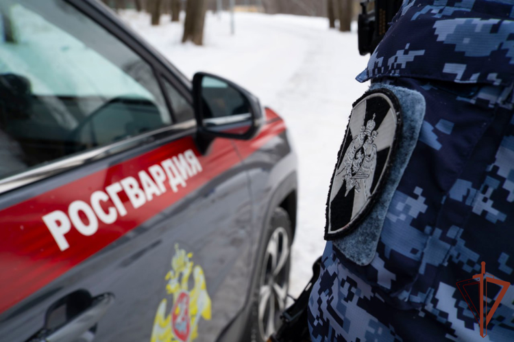 Сотрудники вневедомственной охраны Росгвардии в Новосибирске разыскали пропавшего ребенка