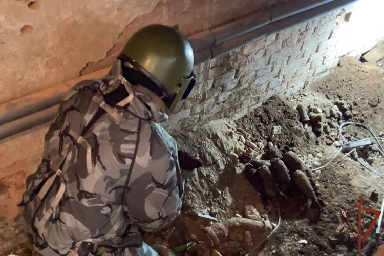 Взрывотехники Росгвардии в Красноярске обезвредили боеприпасы времен Великой Отечественной войны