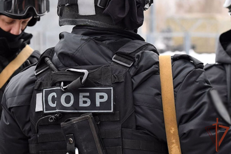При силовой поддержке спецназа Росгвардии пресечен сбыт крупной партии наркотиков во Владимирской области (видео)