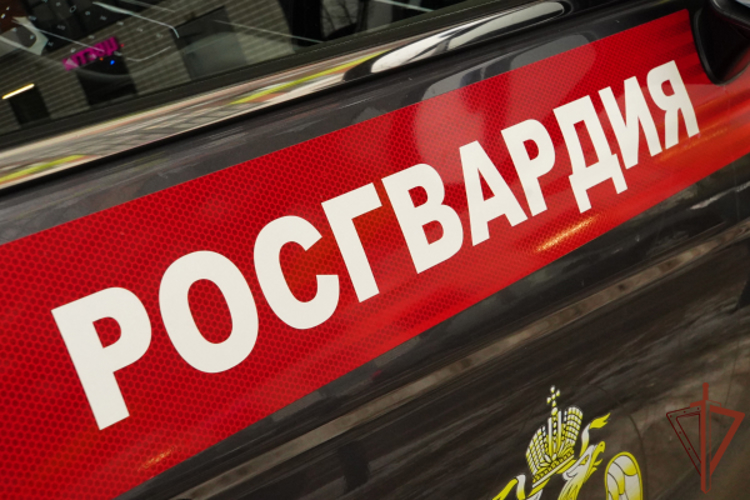 Сотрудники Росгвардии в Кузбассе задержали подозреваемого в совершении тяжкого преступления