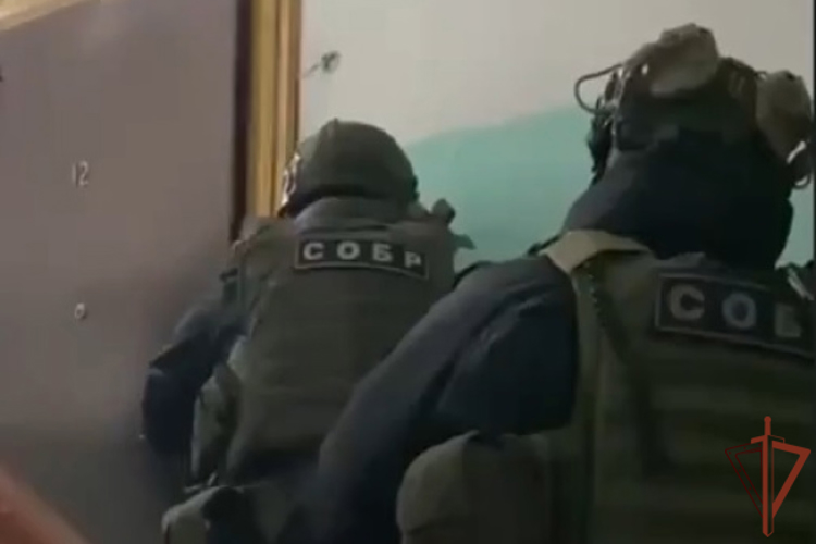 В Вологодской области при силовой поддержке СОБР Росгвардии задержаны подозреваемые в экстремизме