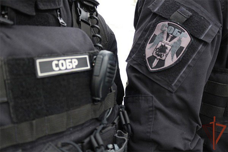 Подозреваемый в разбоях в Москве задержан при содействии СОБР Росгвардии (видео)