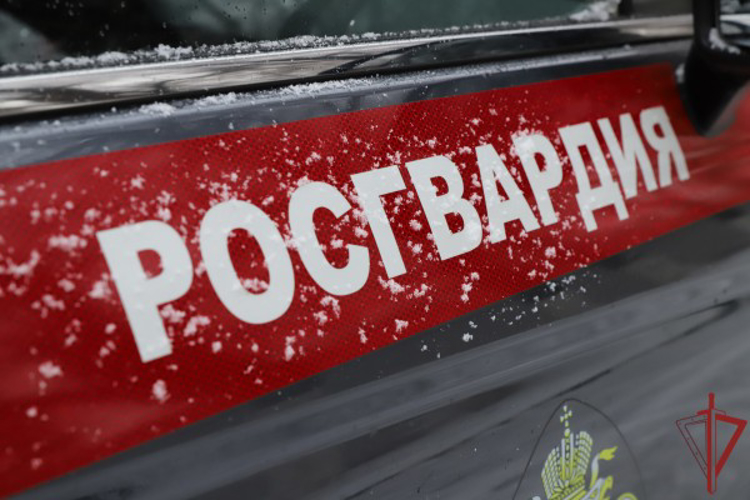 В Подмосковье росгвардейцы оказали помощь почувствовавшему себя плохо на улице молодому человеку