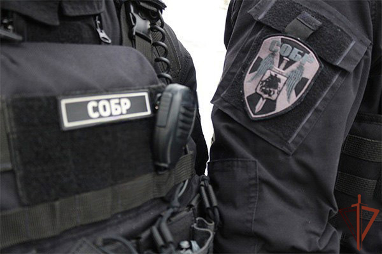 Подозреваемые в разбое задержаны на севере Москвы при содействии Росгвардии  