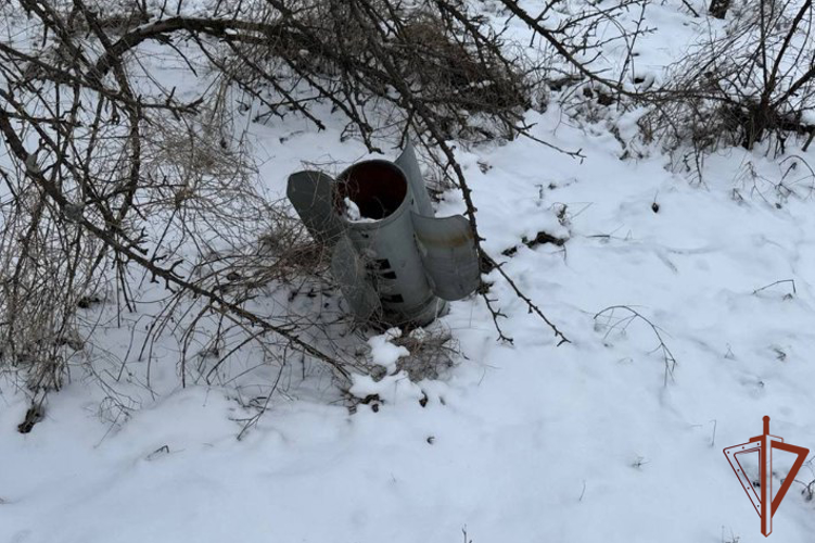 В ЛНР росгвардейцы обнаружили неразорвавшийся снаряд РСЗО «Град» 