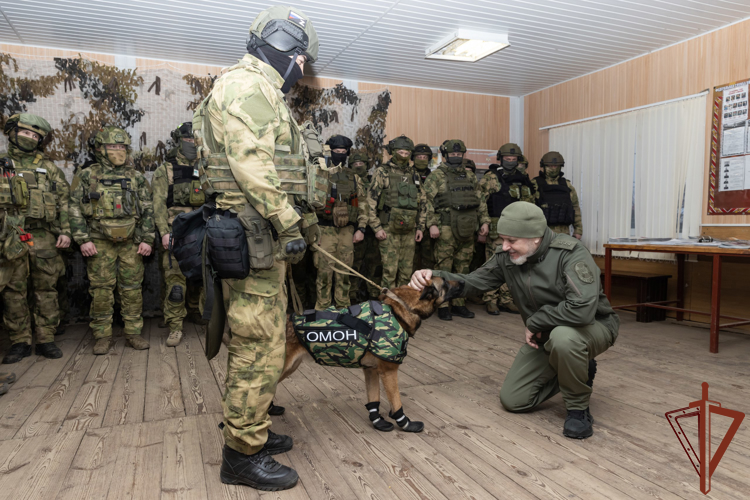Заместитель директора Росгвардии генерал-полковник Алексей Воробьев проверил организацию служебно-боевой деятельности подразделений ведомства в ДНР (видео)