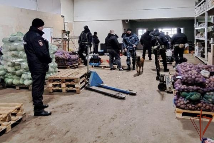 Рейд по пресечению нарушений миграционного законодательства прошел в Череповце при содействии ОМОН Росгвардии