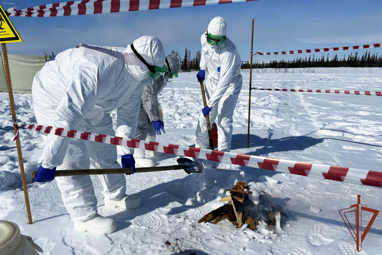 При участии Росгвардии на Ямале прошли межрегиональные учения по реагированию на биологические угрозы