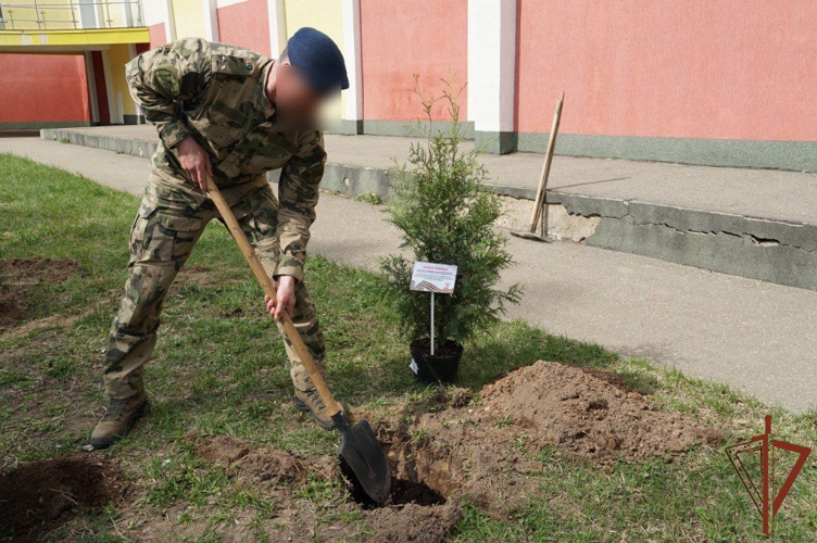 Профориентационные и патриотические мероприятия провели росгвардейцы в городах Центральной России