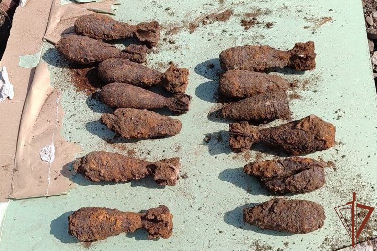 Саперы Росгвардии обезвредили боеприпасы времен Великой Отечественной войны в Красноярском крае