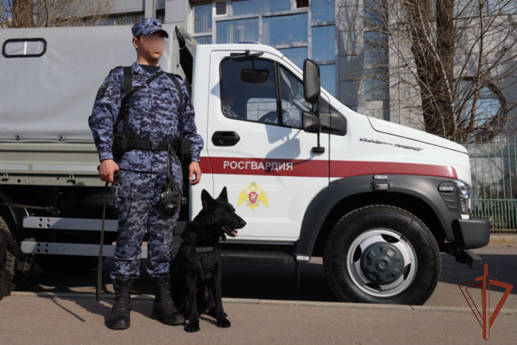 В Санкт-Петербурге Росгвардия обеспечила правопорядок во время футбольного матча Кубка России