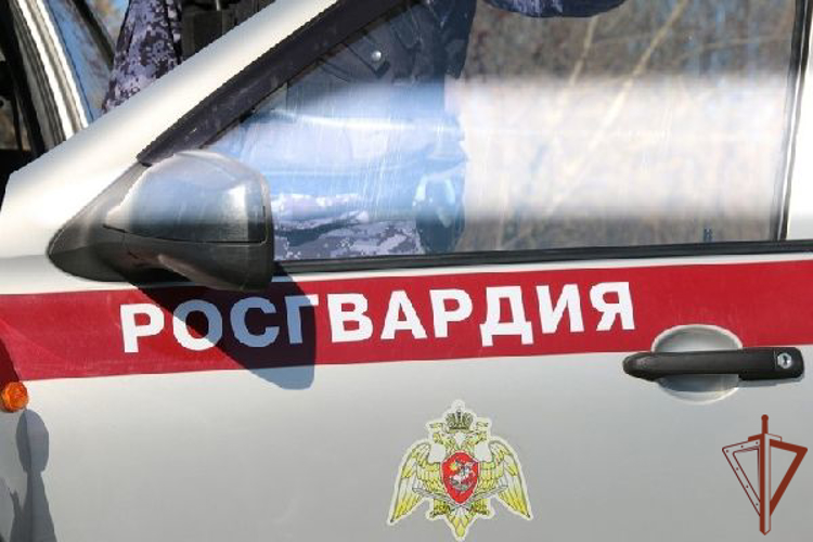 В Ленинградской области росгвардейцы пришли на помощь потерявшей сознание пенсионерке  