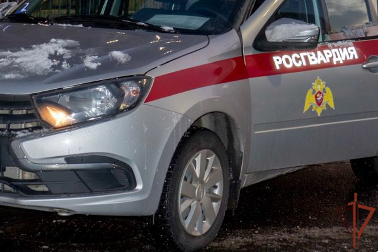 В Пермском крае росгвардейцы вернули домой потерявшегося пожилого мужчину