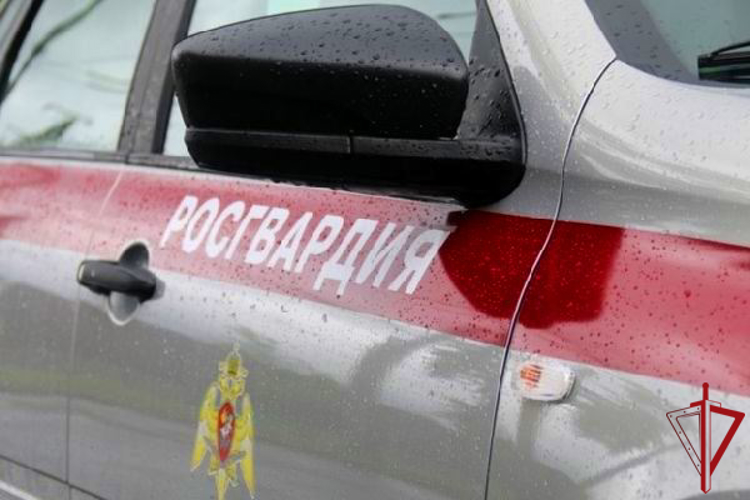 В Ленинградской области росгвардейцы задержали мужчину, который устроил стрельбу