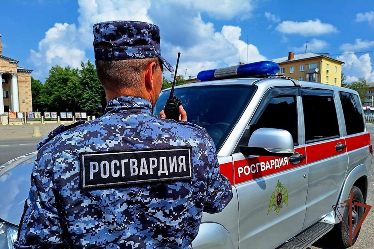 Росгвардейцы задержали подозреваемого в нанесении ножевых ранений полицейскому в Подмосковье (видео)