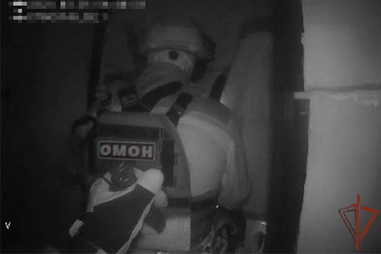 При содействии Росгвардии задержан один из фигурантов дела о телефонном мошенничестве в Подмосковье (видео)