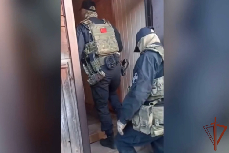 При содействии ОМОН Росгвардии пресечена незаконная рубка леса в Тверской области (видео)