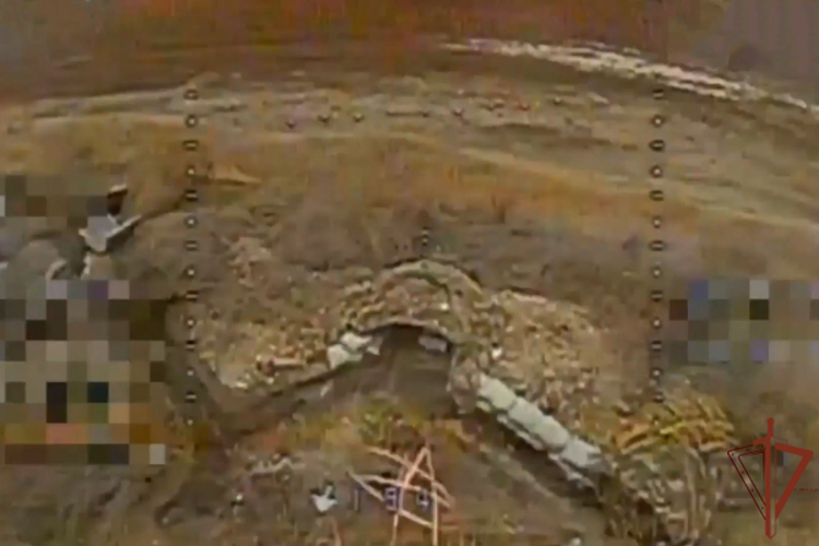 Операторы БПЛА нанесли огневое поражение по опорным пунктам ВСУ (видео)