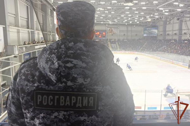 Сотрудники Росгвардии обеспечили безопасность матча ВХЛ в Зауралье
