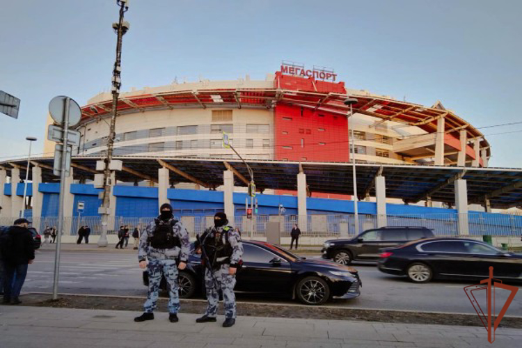 Безопасность проведения хоккейного матча обеспечили росгвардейцы в Москве
