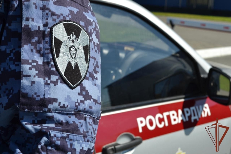Открывшего стрельбу на улице Омска мужчину задержали сотрудники Росгвардии