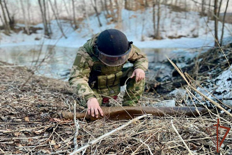 Взрывотехники Росгвардии уничтожили в ЕАО снаряд времён Великой Отечественной войны 