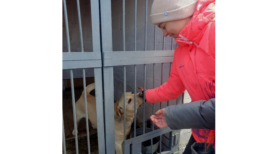 Мероприятия для подрастающего поколения провели росгвардейцы на Дальнем Востоке