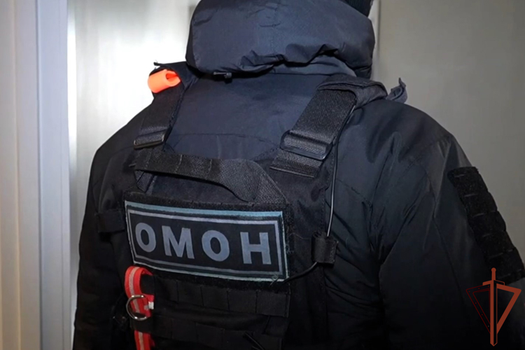 При силовой поддержке спецназа Росгвардии задержан подозреваемый в серии краж икон в Подмосковье 