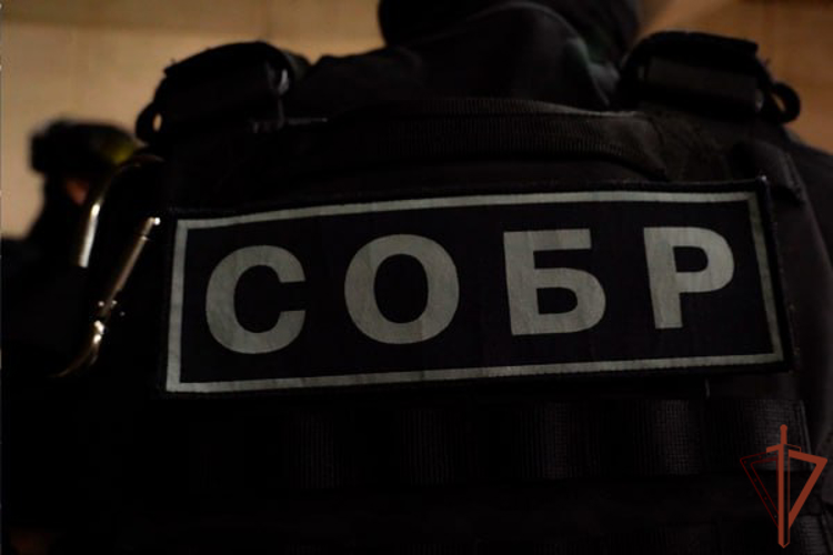 При силовой поддержке спецназа Росгвардии в Пензенской области задержан подпольный оружейник
