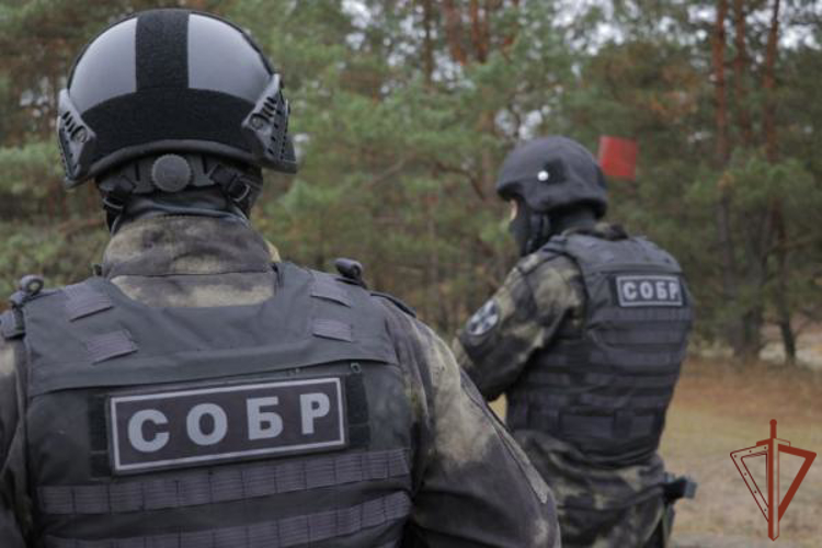В Дагестане при содействии Росгвардии пресечена деятельность организованной преступной группы 