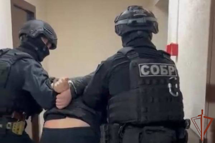 Подозреваемые в квартирной краже задержаны при силовой поддержке СОБР Росгвардии в Новосибирске